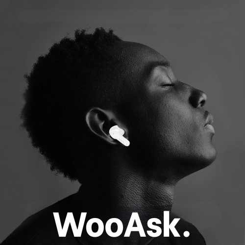 Écouteurs traducteurs WooAsk